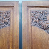 Pair of old doors art deco