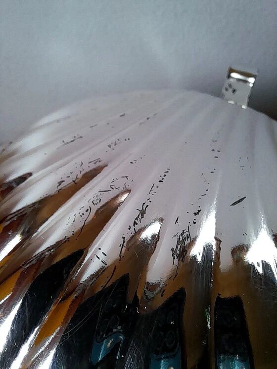 Beurrier coquillage en inox