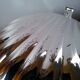 Beurrier coquillage en inox
