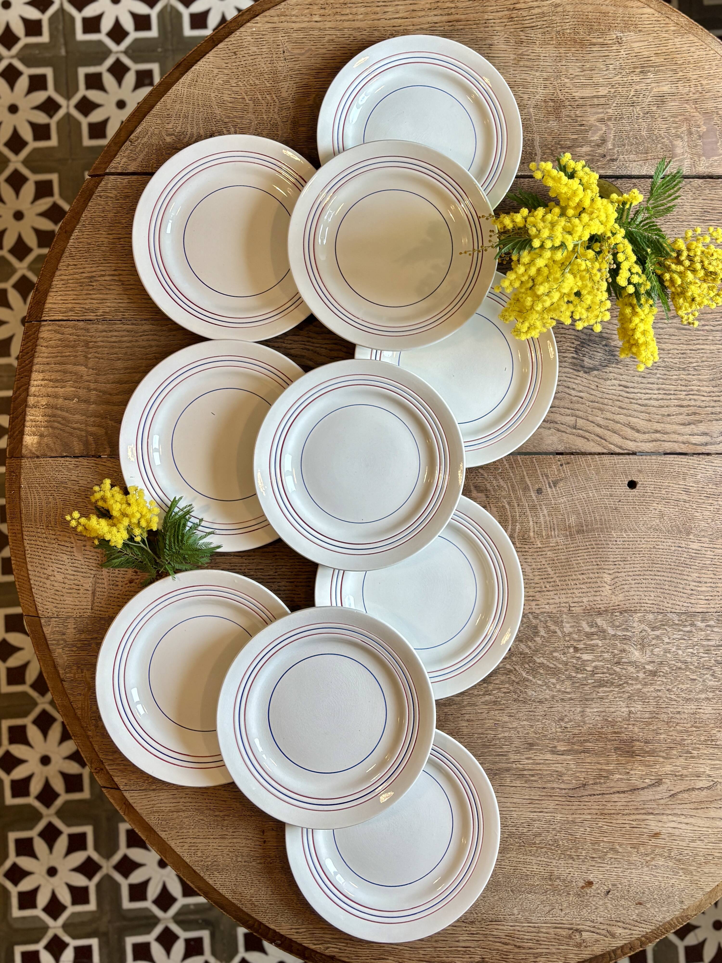 Set of 10 vintage flat plates in semi-porcelain Céranord.