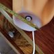 Vintage Exclarares draped lamp