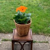 Small square-shaped side table in bamboo and vintage wicker