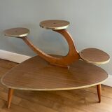Table for plants 50s