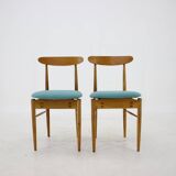 1960s Alan Fuchs 4 Rare Dining Chairs for ULUV, Czechoslovakia