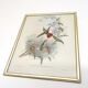 Lot 2 Bird lithographs by J. Gould and H-C Richter golden frame