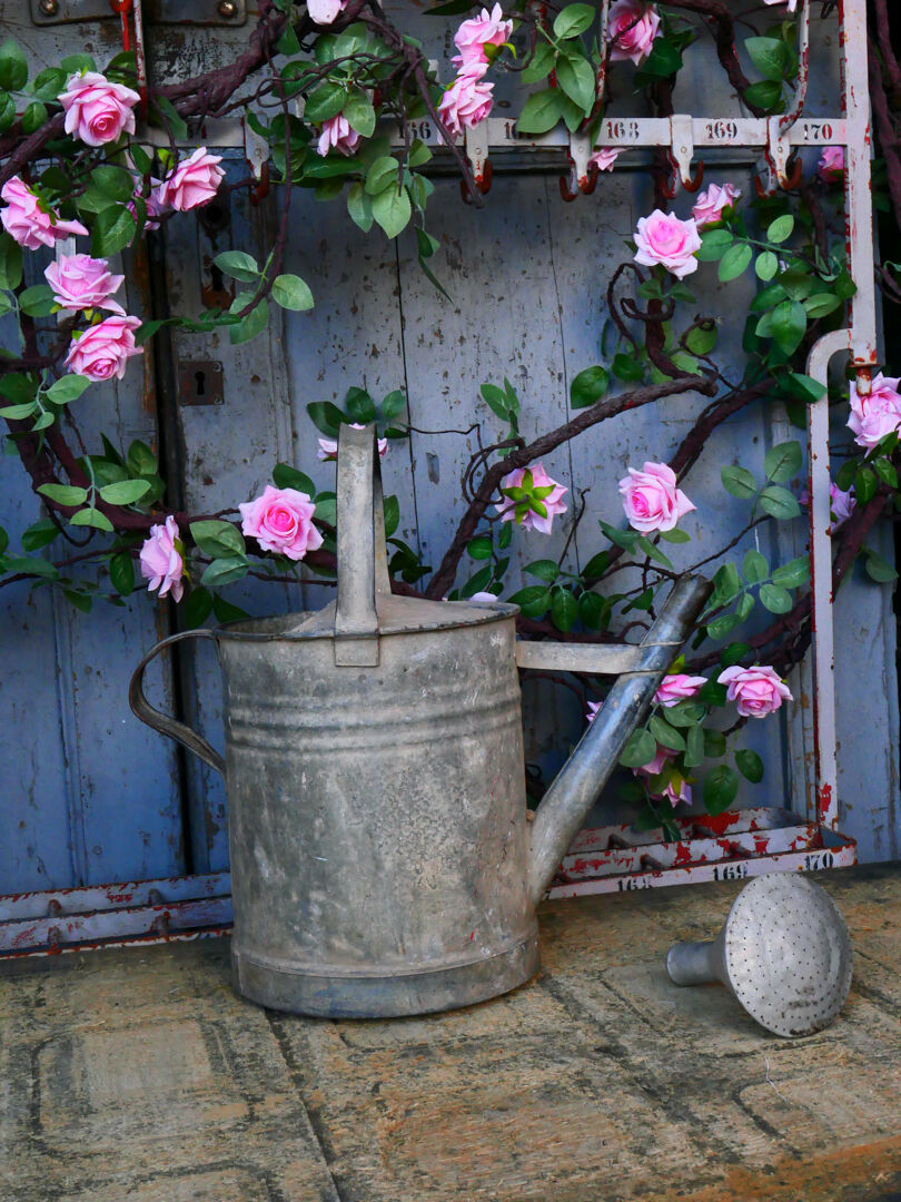 Zinc watering can