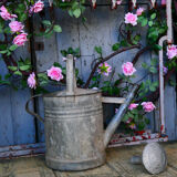 Zinc watering can