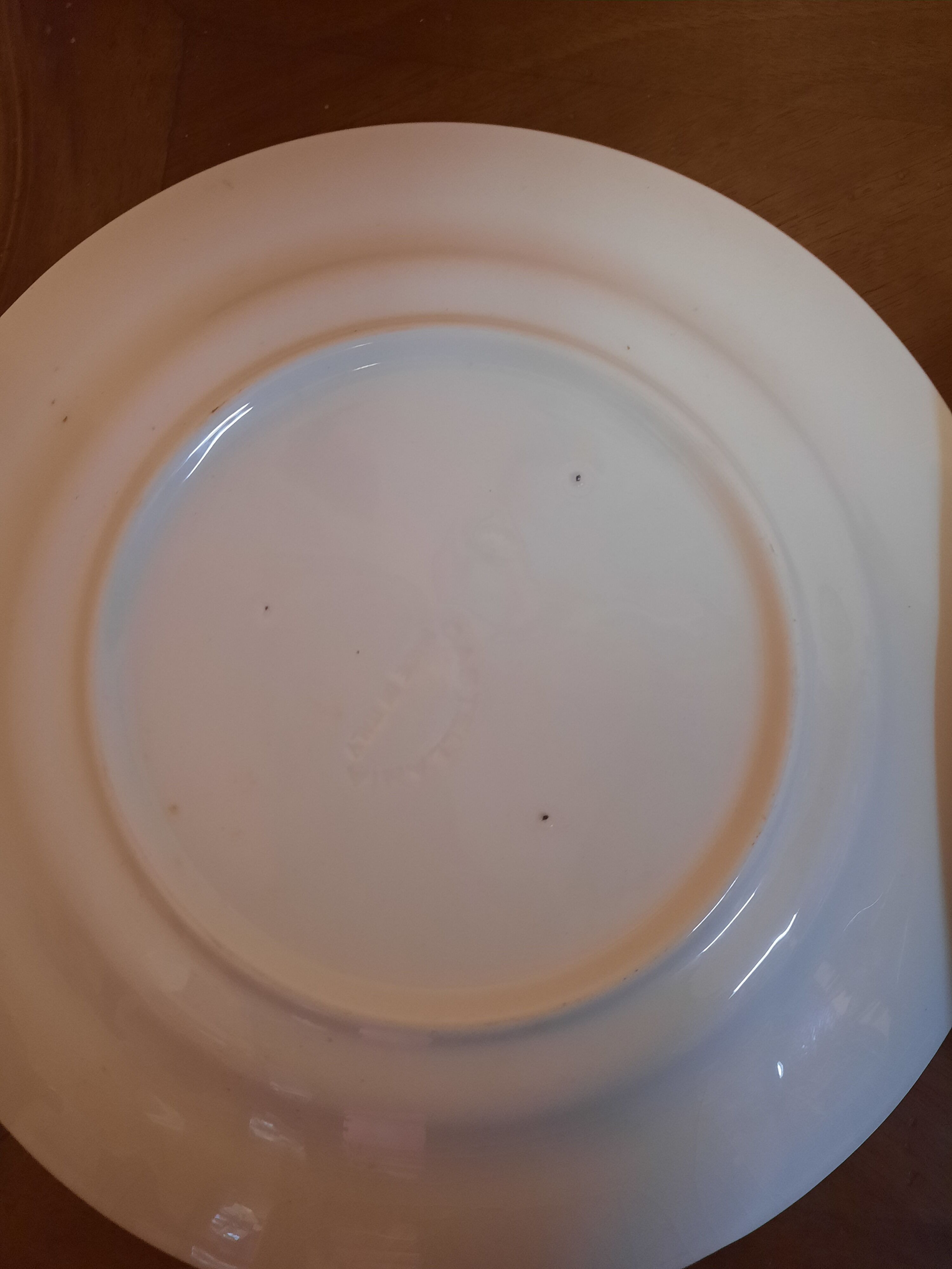 Duo of plates decorated fish