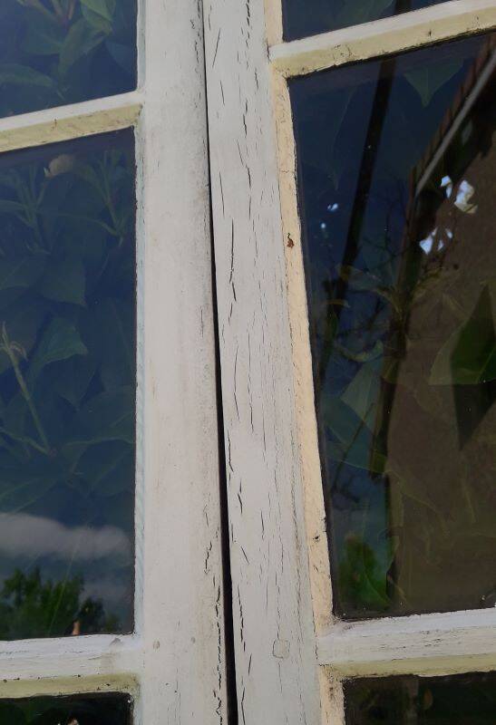 Lot of 4 oak windows H141xL112/117cm old small panes