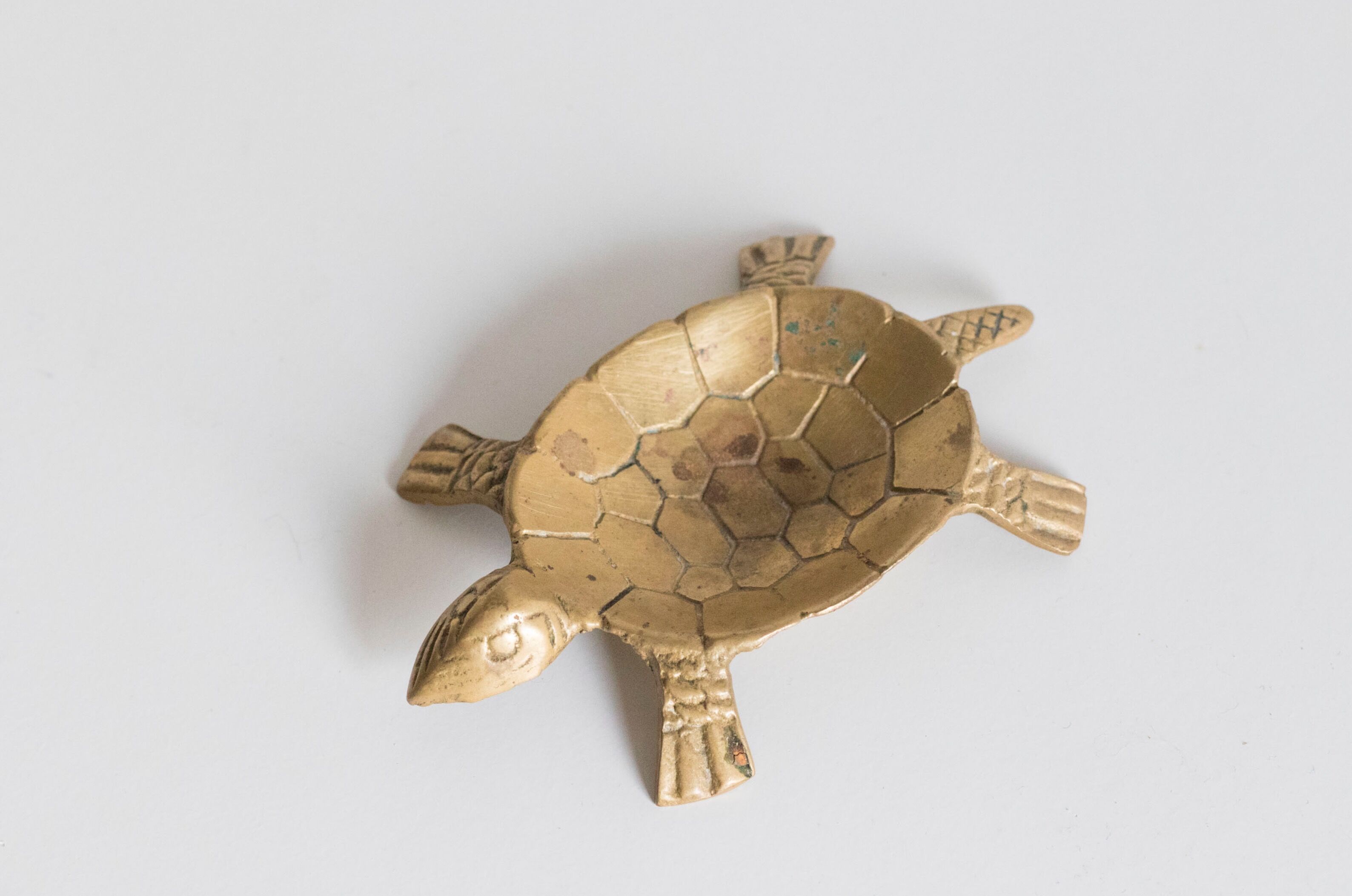Ashtray / empty turtle brass pockets