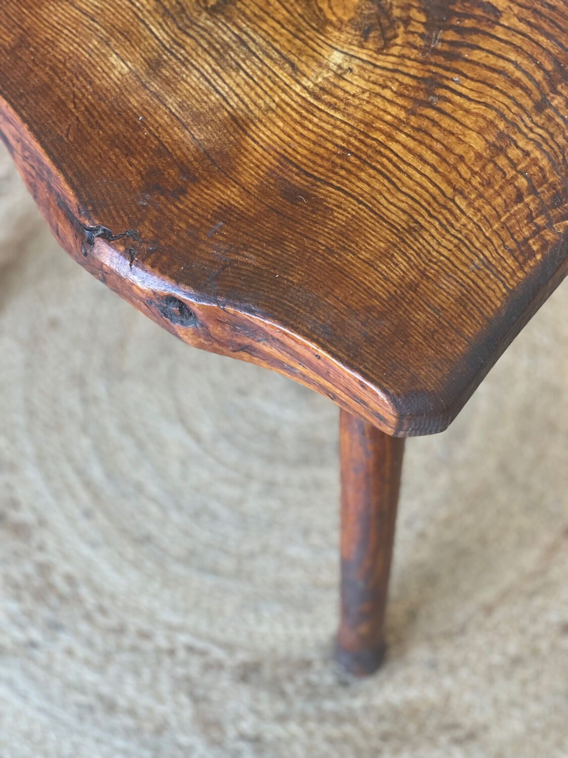 Oak cowbird stool