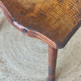 Oak cowbird stool