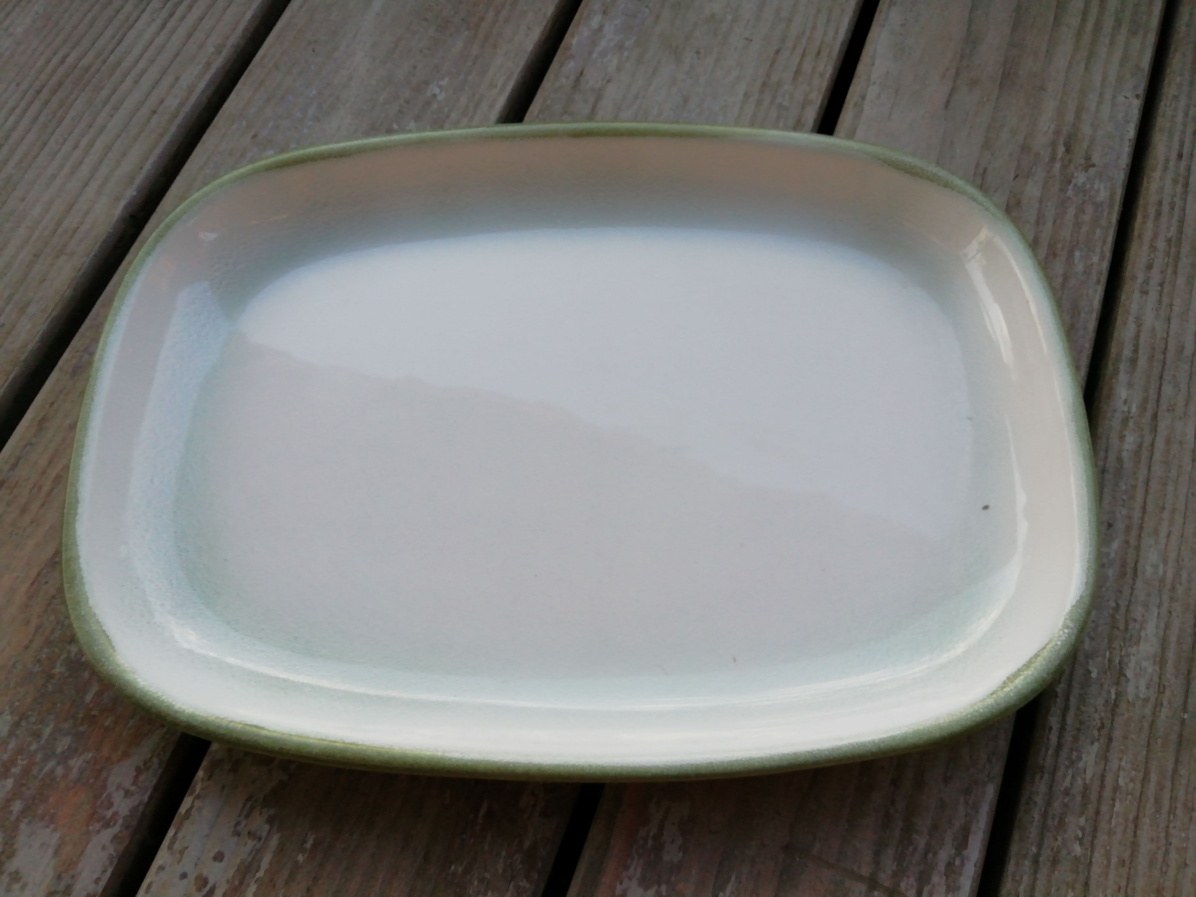 Salins Dish