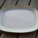 Salins Dish