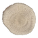 Corail Fungia « coussin de requin »