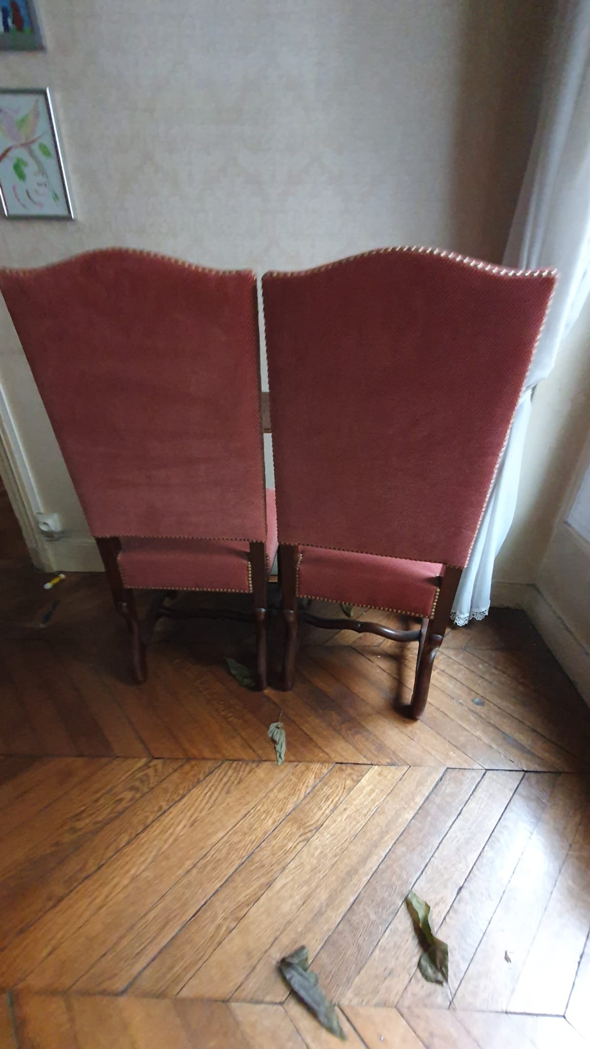 Pair of chairs "sheep bone"