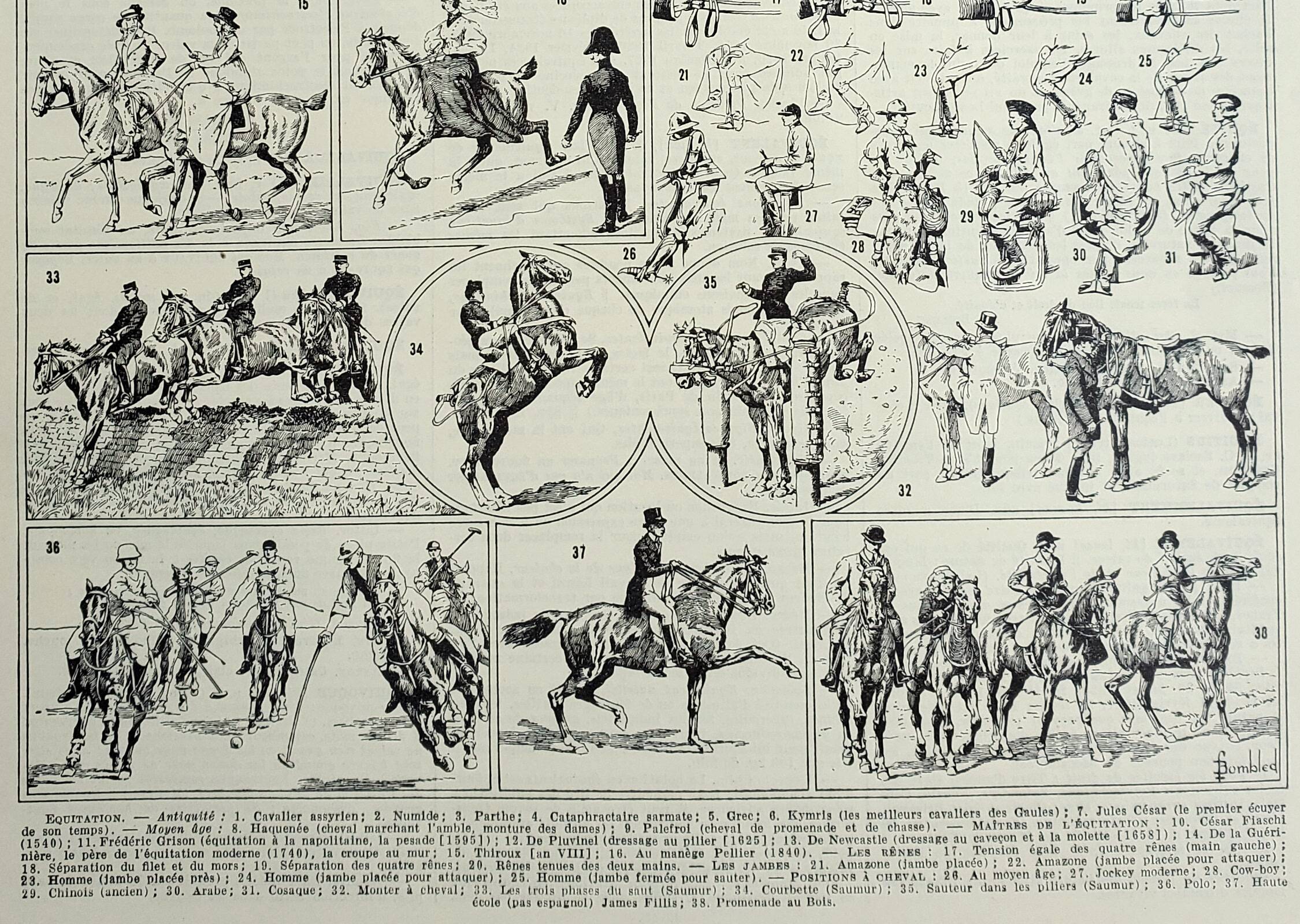 Old engraving 1928, Horse riding, horse, equestrian, equestrian • Lithograph, Original plate