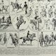 Old engraving 1928, Horse riding, horse, equestrian, equestrian • Lithograph, Original plate