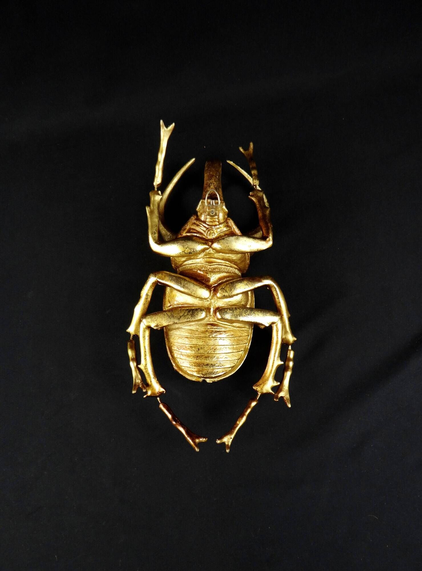 Contemporary style golden scarab wall sculpture in resin and metal
