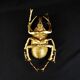 Contemporary style golden scarab wall sculpture in resin and metal