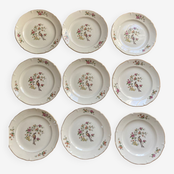 Set of 9 Regency plates