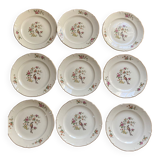 Set of 9 Regency plates