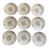 Set of 9 Regency plates