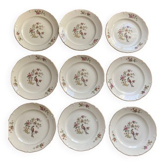 Set of 9 Regency plates