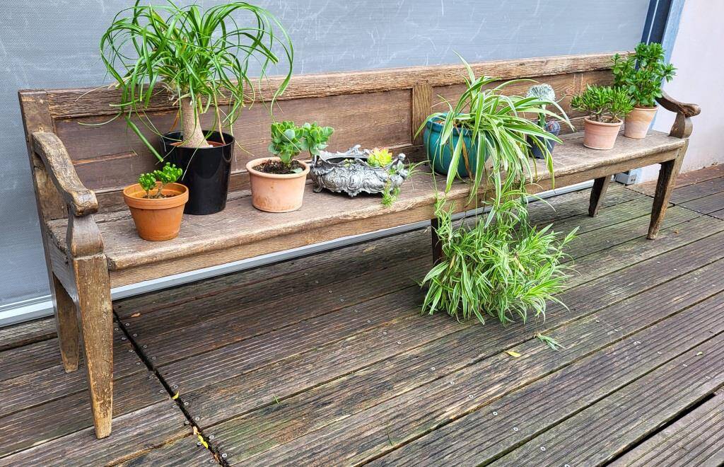 19th-century church pew, 245 cm long