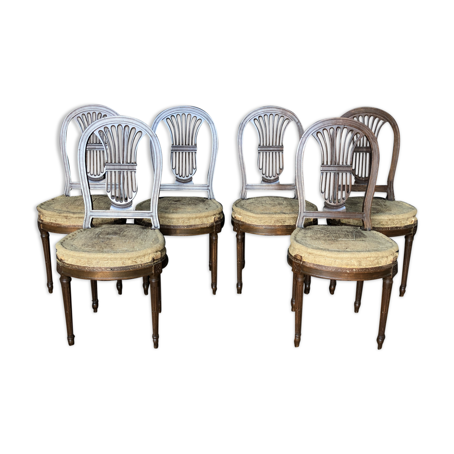 6 Louis XVI-style chairs