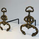 Chenets, cheminée, bronze, fer forgé, style néoclassique, lions