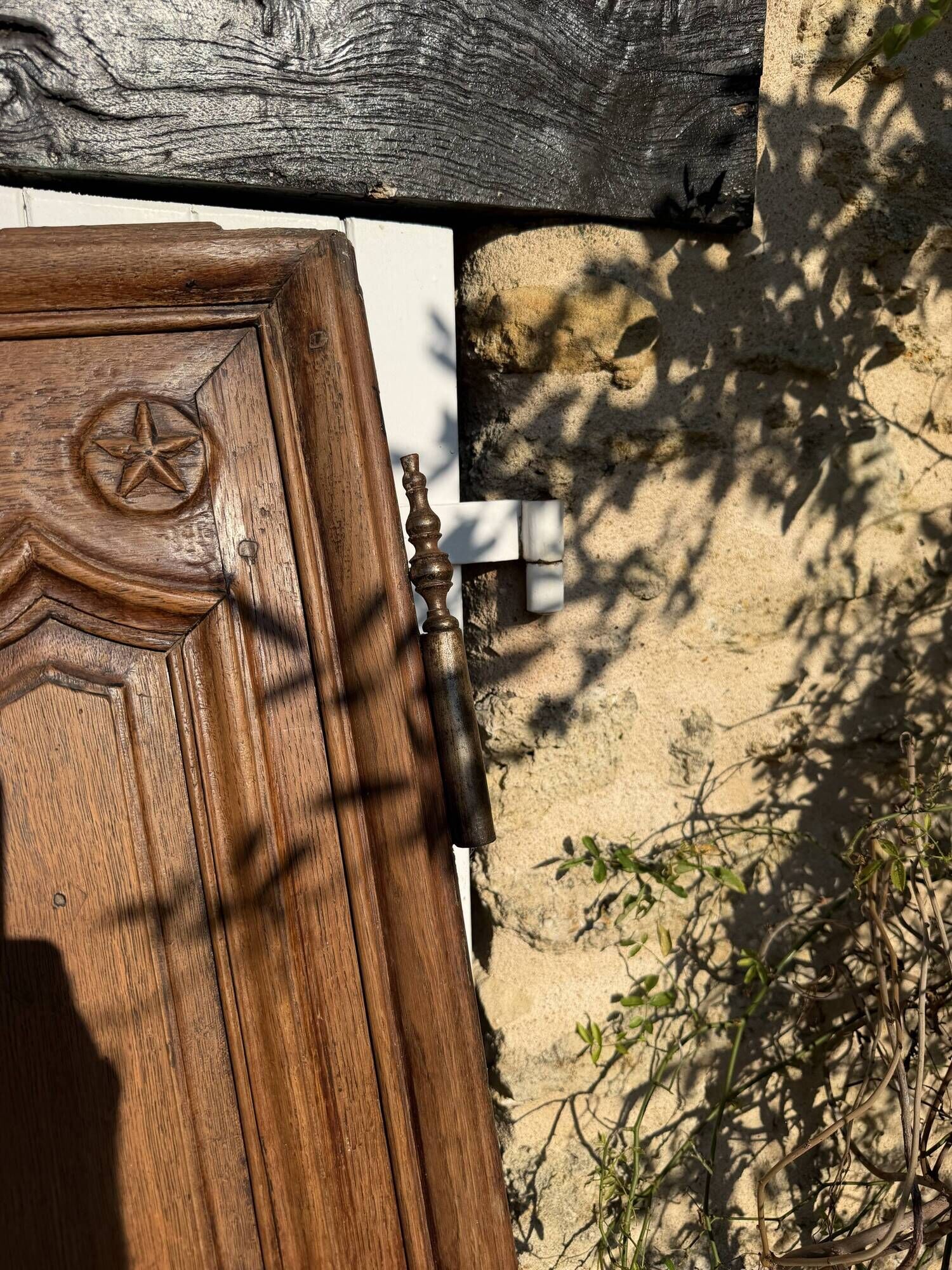 Solid oak doors of a gentleman's residence