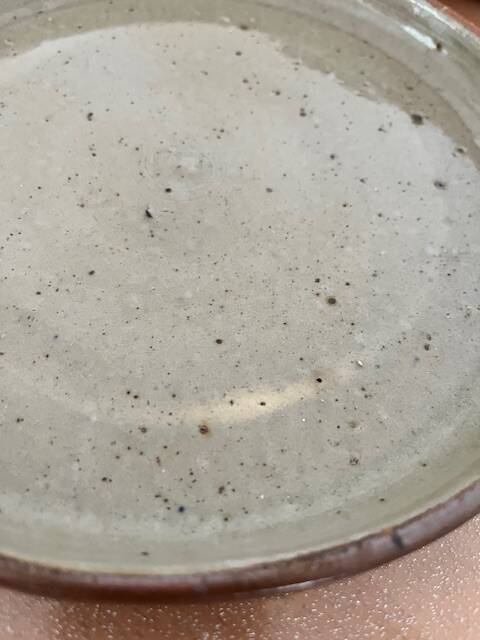 Set of 12 stoneware dinner plates