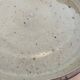 Set of 12 stoneware dinner plates