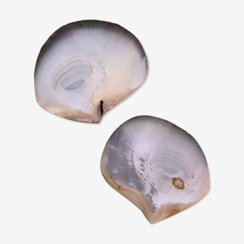 Set of 2 empty pearly shell pocket