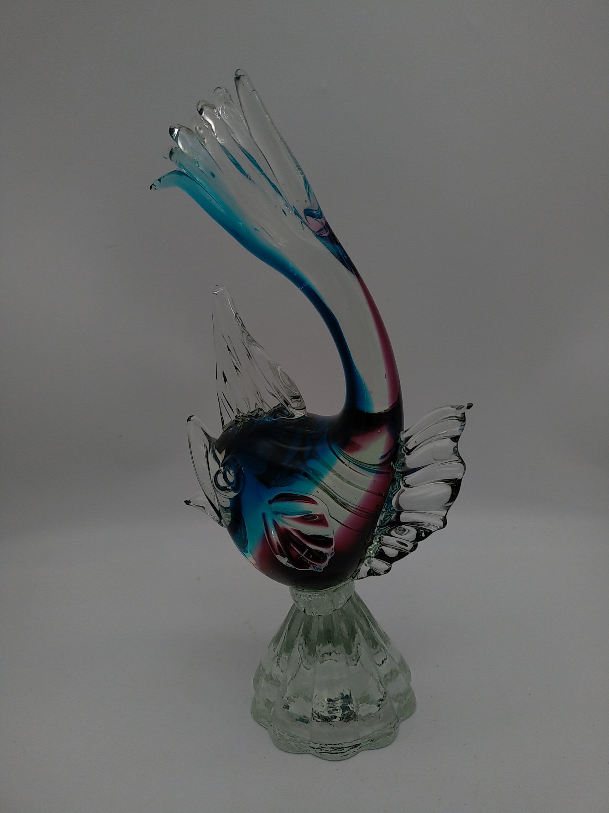 Glass fish