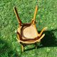 Baumann chairs