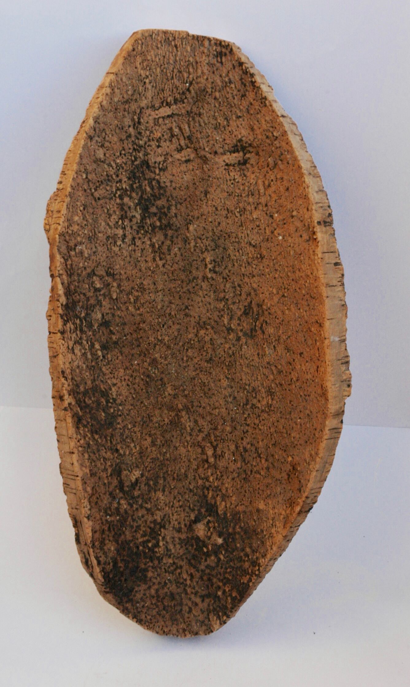 Fruit cut in bark 59x29cm