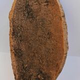 Fruit cut in bark 59x29cm