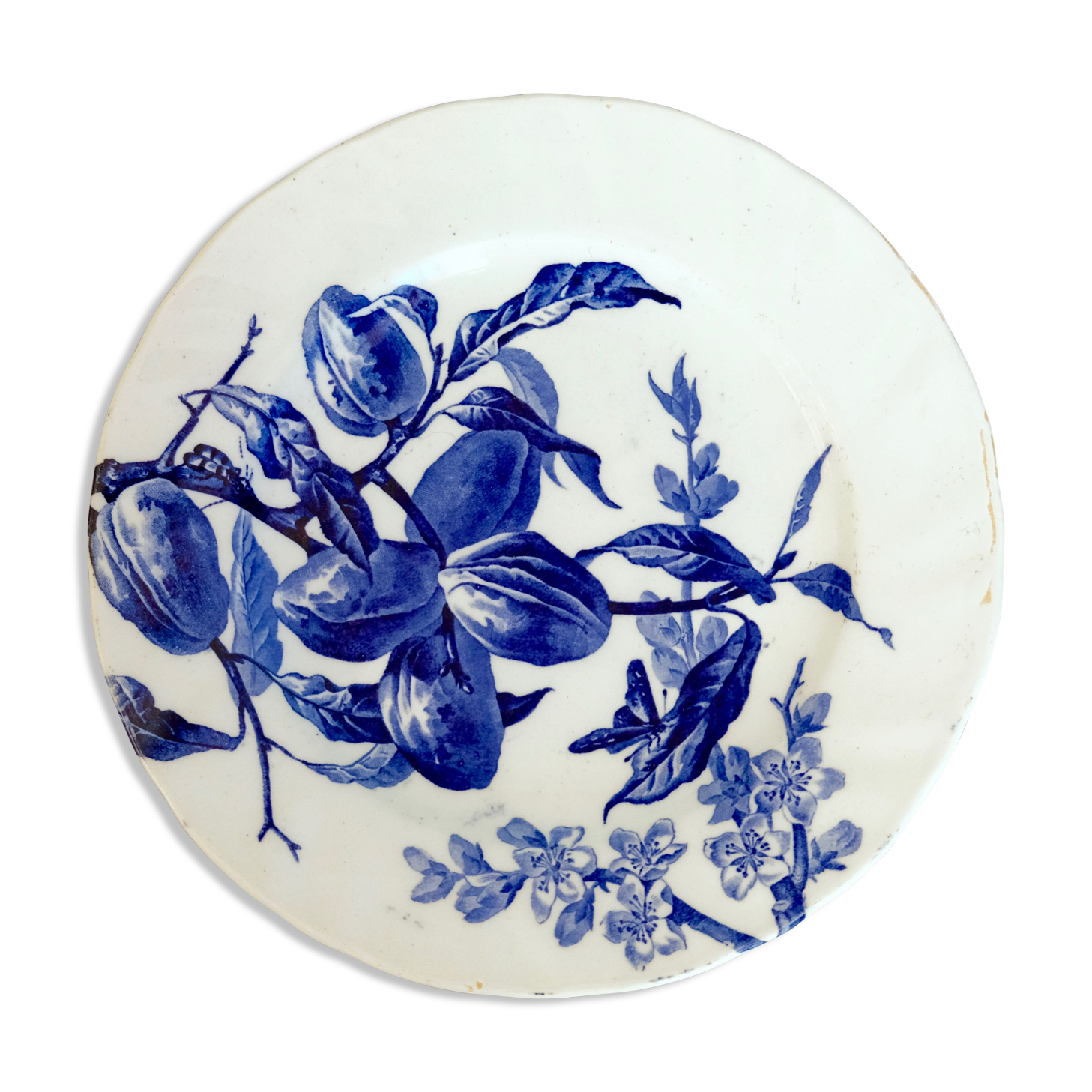 Plum plate in earthenware from Creil Montereau B. Former MC Co.