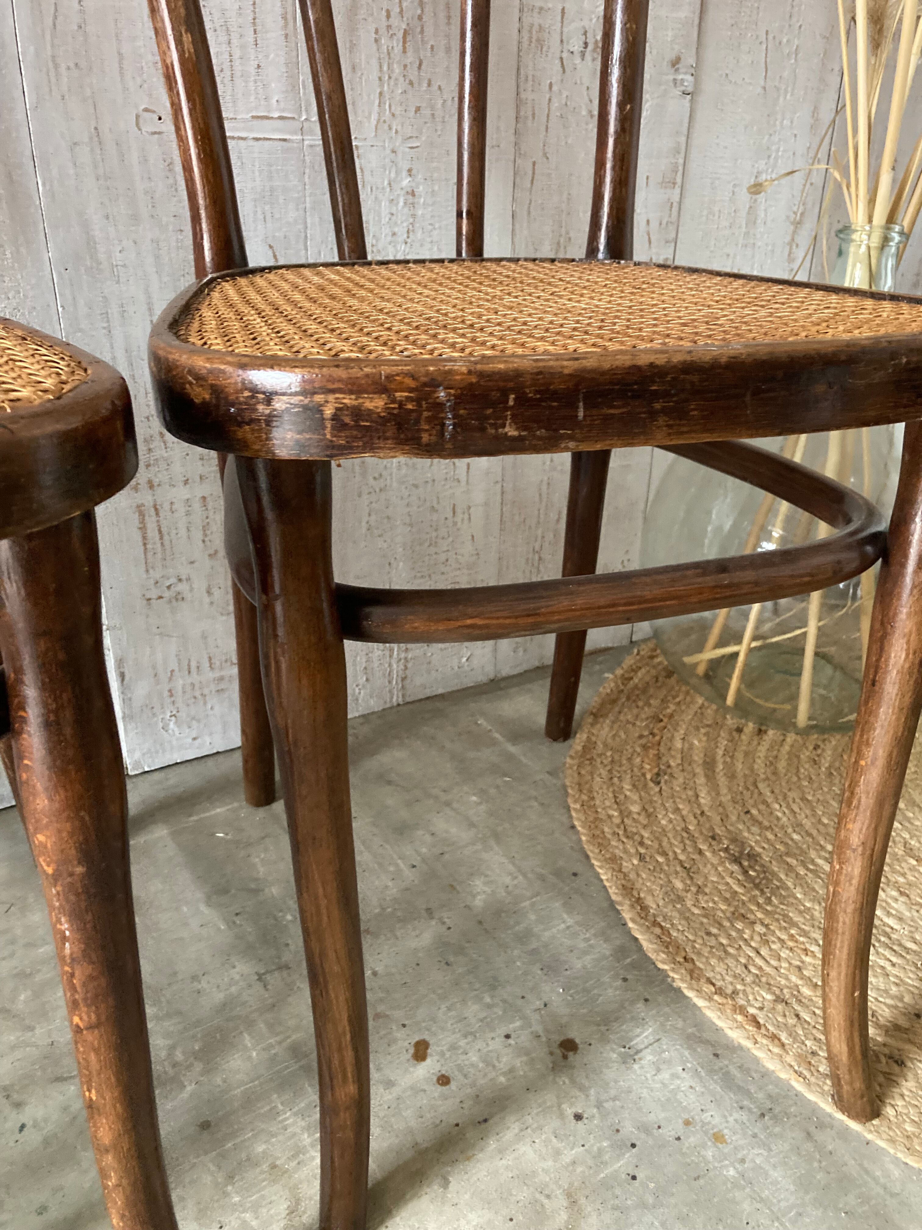 Series of 3 Thonet chairs