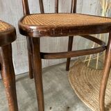 Series of 3 Thonet chairs