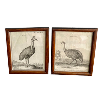 Two 18th century engravings under glass, wooden frame