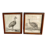 Two 18th century engravings under glass, wooden frame
