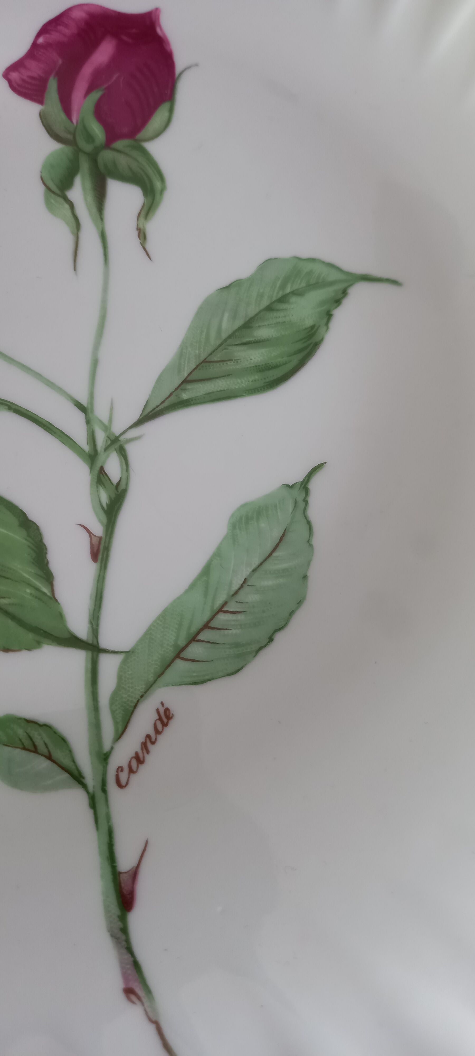 Limoges porcelain flat plates with candé pink decor