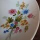 Set of 11 flat plates Bavaria