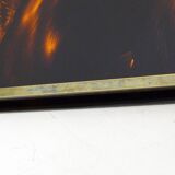 Large tortoiseshell resin tray