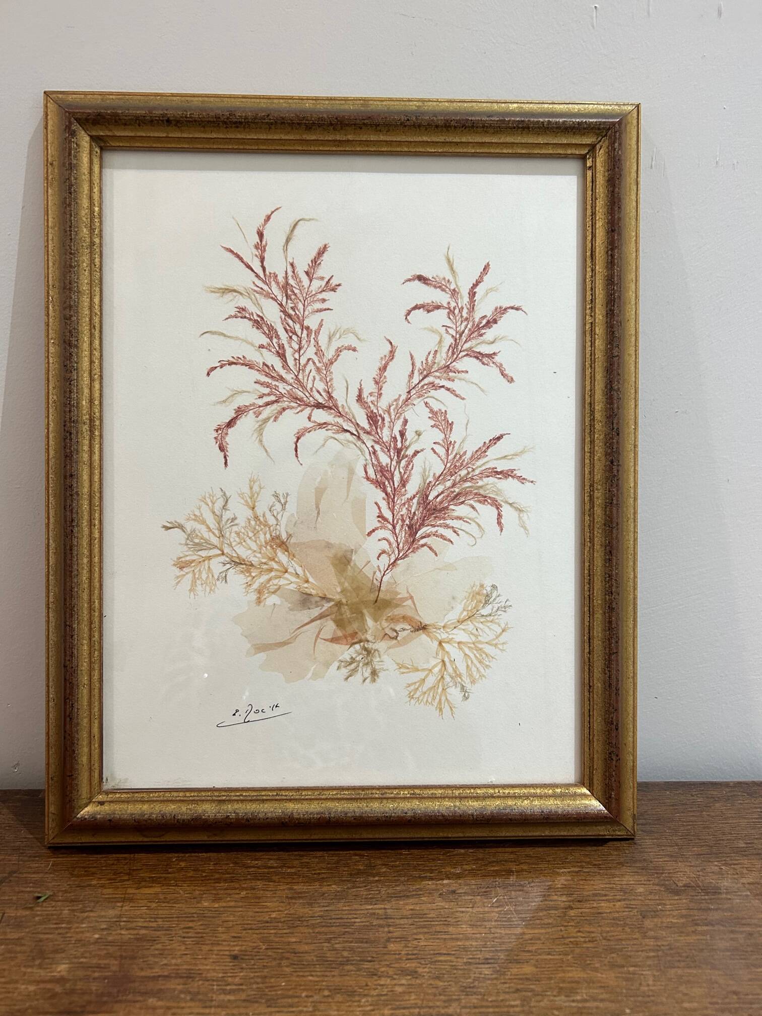 vintage painting natural algae