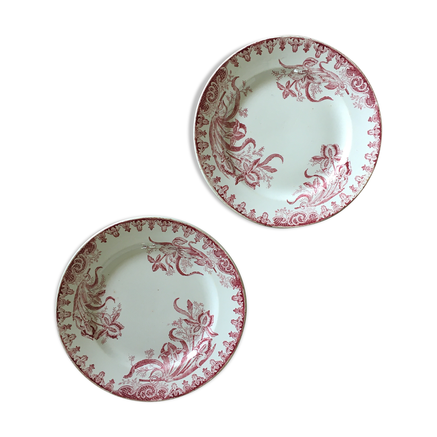 Plates Terre de Fer Sainte Amandinois Iris