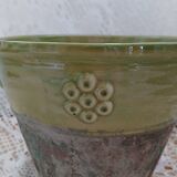 Pot / plant or flower in terracotta